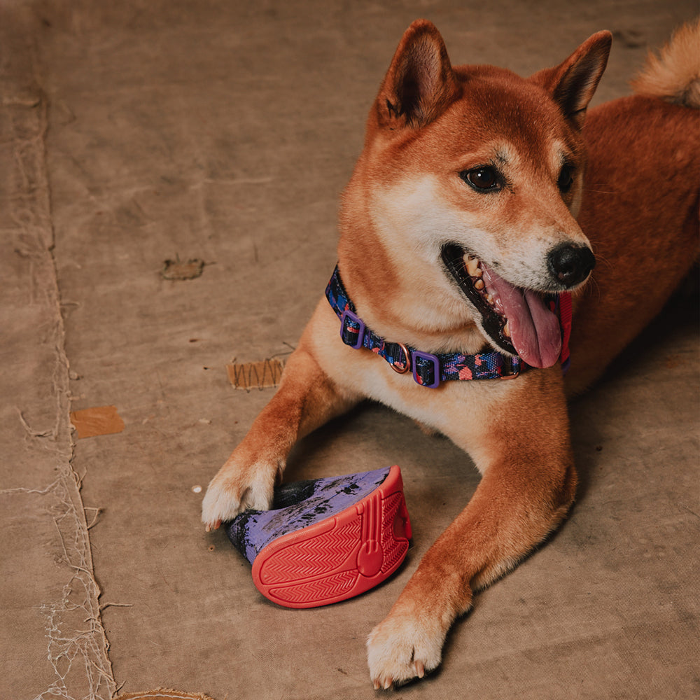 Reebok Tug Toy