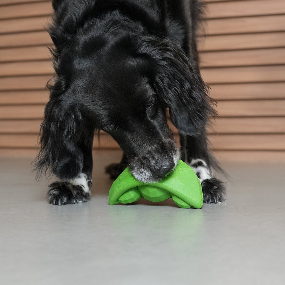 Green Bean  | Treat Dispensing Dog Toy