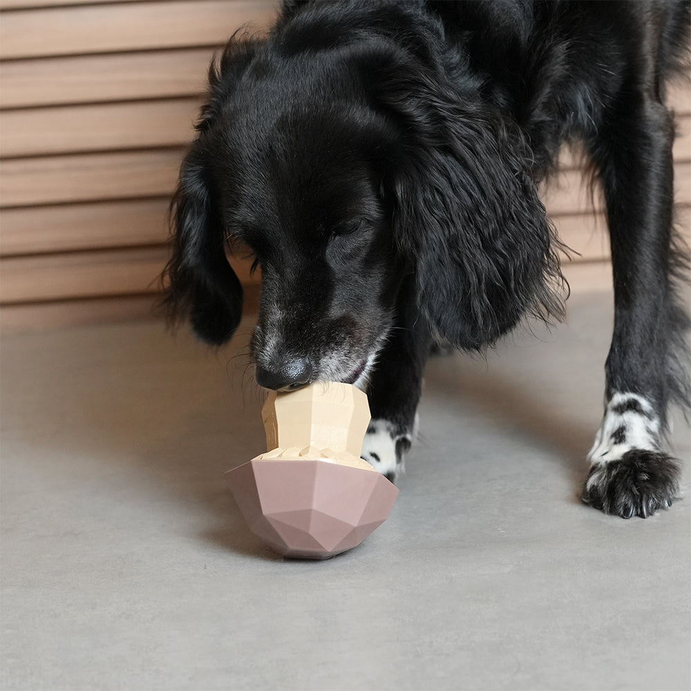 Mushroom  | Treat Dispensing Dog Toy