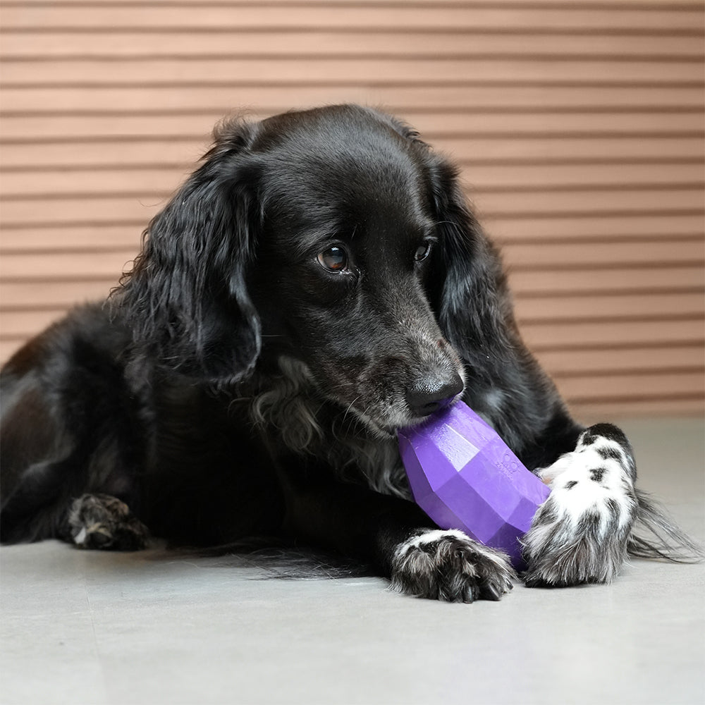 Eggplant  | Treat Dispensing Dog Toy