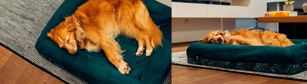 Green | Bed Cover