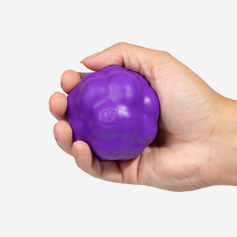 H3D | Dog Ball