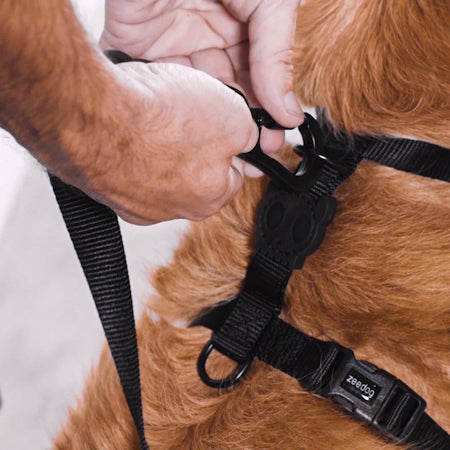 Neopro Black | Waterproof H-Harness